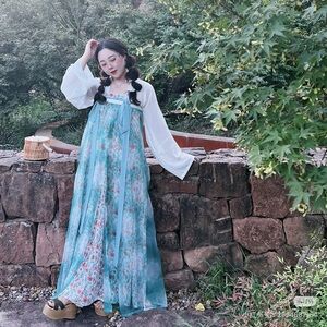 Tang dynasty qixiong 8 panel poqun overskirt